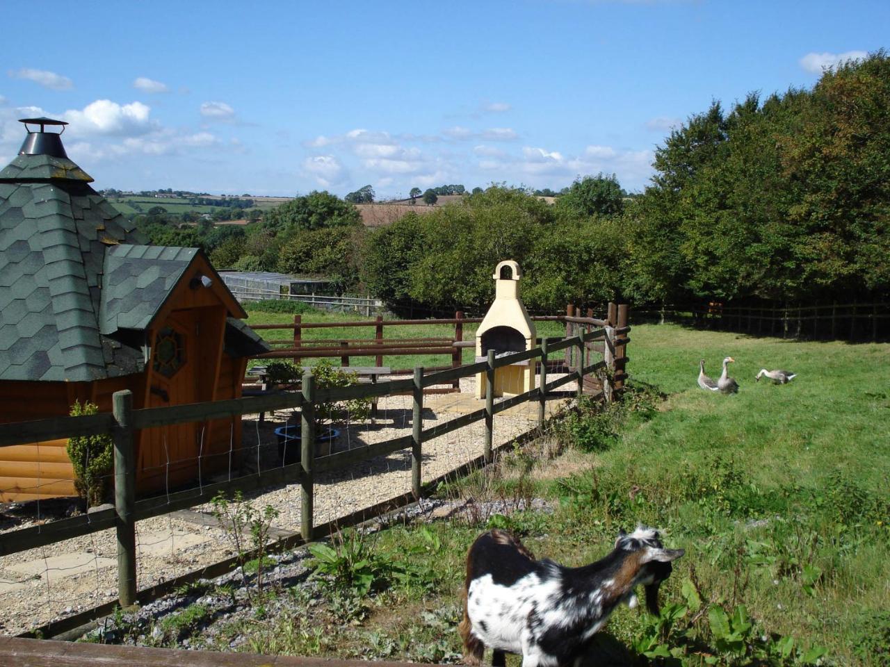 Greyfield Farm Cottages Farmborough Exterior foto