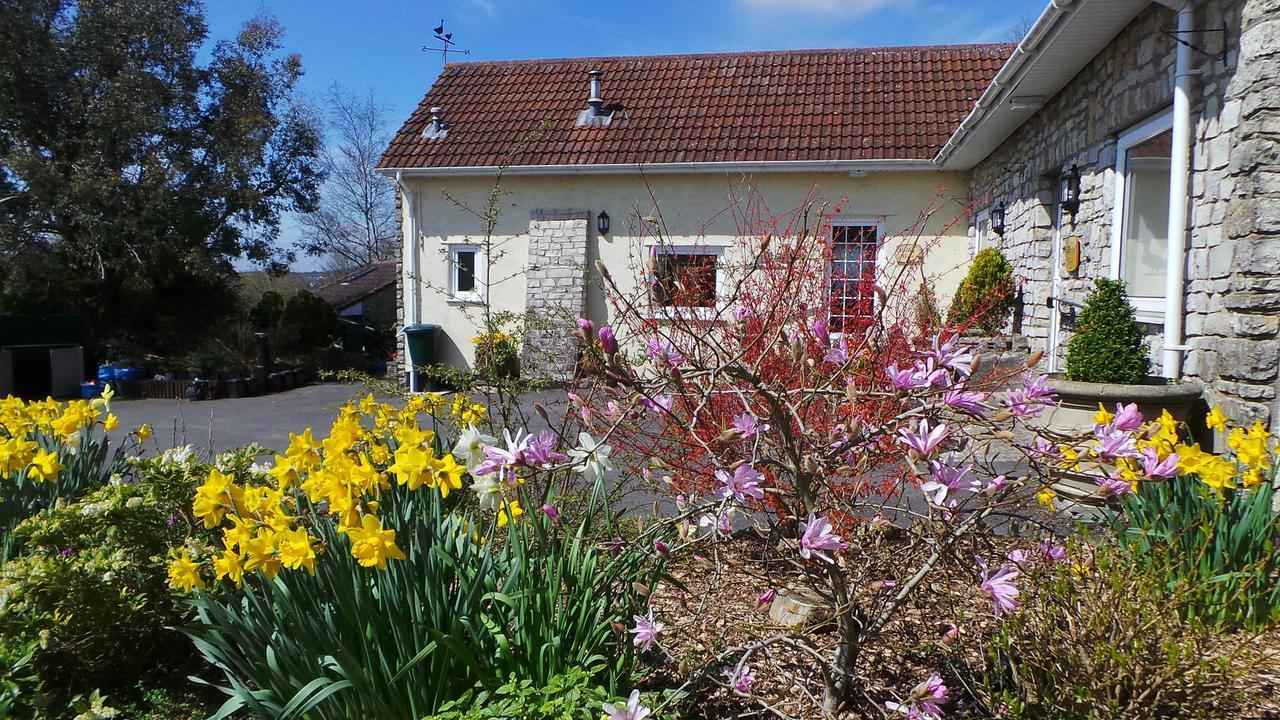 Greyfield Farm Cottages Farmborough Exterior foto